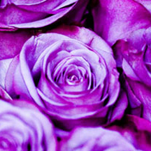 网络ddos监测分析工具